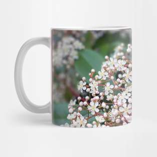 Blossoming Tree in Spring Mug